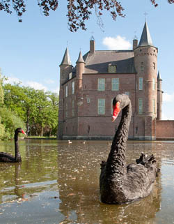 monumentenwacht utrecht